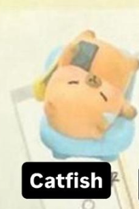 CP. 1 Little sleepy bag Kapibara 1008