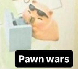 CP. 2 Little sleepy bag Kapibara 1008