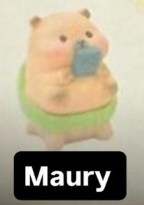 CP. 2 Little sleepy bag Kapibara 1008