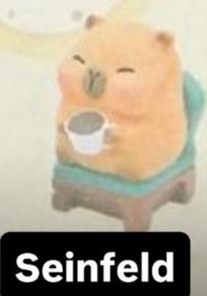 CP. 2 Little sleepy bag Kapibara 1008