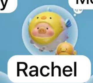 cp1 Lulu The Piggy Ocean Series 1008