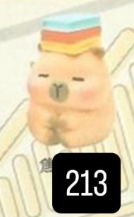 CP. 3  Little sleepy bag Kapibara 1008