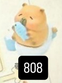 CP. 3  Little sleepy bag Kapibara 1008