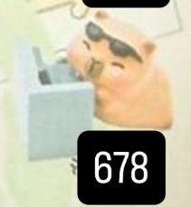 CP. 3  Little sleepy bag Kapibara 1008