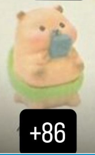 CP. 3  Little sleepy bag Kapibara 1008