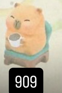 CP. 3  Little sleepy bag Kapibara 1008