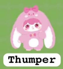 CP 1  KIMI PAPA 1012