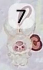 Cp 4 Super Mini Baby 3 1012