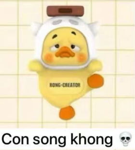 CP 3  UpsetDuck Status Display Duck 1020