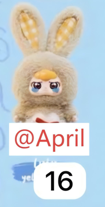 CP 1 Everyday Jump Love Baby 11.9