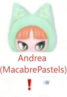 Cp 7 🐱Inn’s Cat Inn Your Chat🐱 11.11