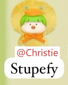 CP 7 Meatball Animal Party  (Open Bags)  11.11