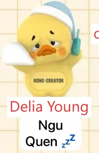 CP 4  UpsetDuck Status Display Duck 11.25