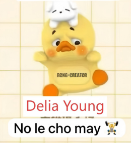 CP 4  UpsetDuck Status Display Duck 11.25