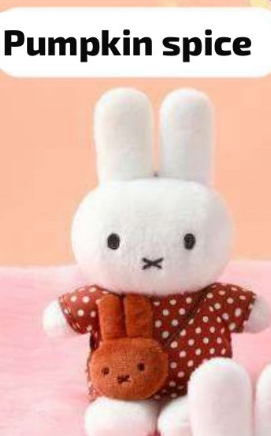 CP 2 New Miffy 11.27