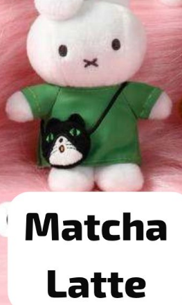 CP 2 New Miffy 11.27