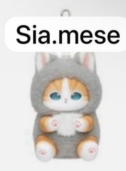 cp 4 Mofusand Kiramekko Fluffy Kittens 1202