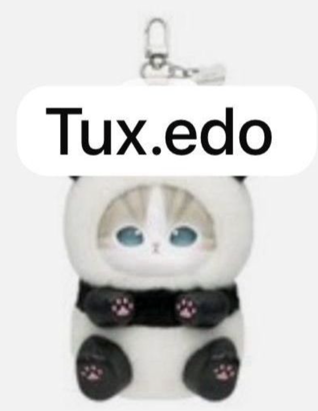 cp 4 Mofusand Kiramekko Fluffy Kittens 1202