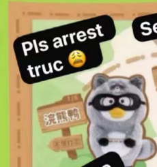 (sample only)CP1 Duckyo 1216