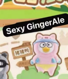 (sample only)CP1 Duckyo 1216