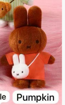 CP4 Miffy outgoing 0114