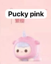 CP1 Popbean Sakura 0125