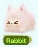 CP1 Kiki animal 0127