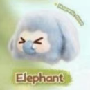 CP1 Kiki animal 0127