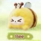 CP1 Kiki animal 0127