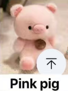 (sample left)CP1 Xiangdundun animals PLUSHIES (6.3inch high) 0205