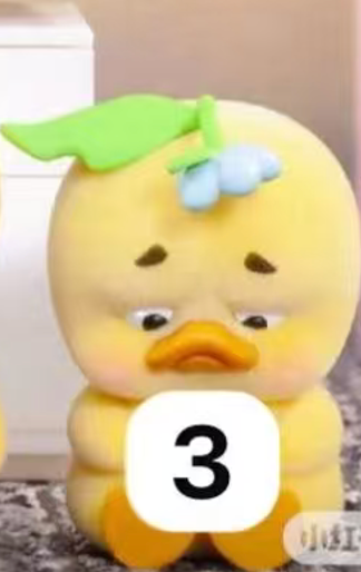 CP3 Upset Duck (stop the spiral Duck) 0205