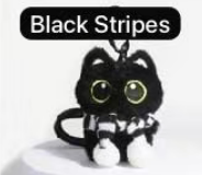 CP2 Black Cat 0207