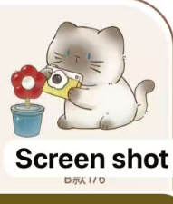 CP2 Kitten daily accompany 0209