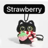 CP6 Black Cat 0209
