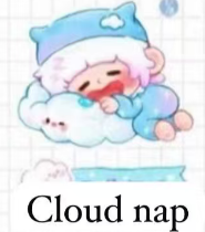 CP2 Goho home diary 0209
