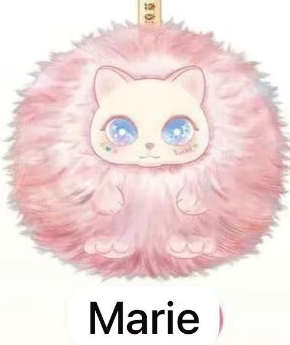 CP2 Scribble Cat 0215