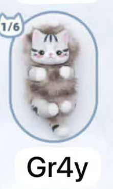Cp 2 Bobo Cat 0219