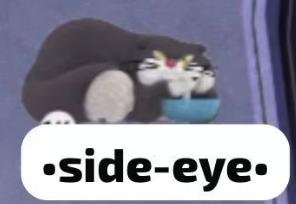CP2 The mischievous cat Lucifer 0223