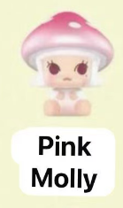 CP5 Popbean mushroom 0224