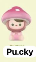 CP6 Popbean mushroom 0224