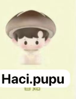 CP5 Popbean mushroom 0224