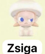 CP5 Popbean mushroom 0224