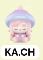 CP5 Popbean mushroom 0224