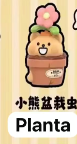 CP3 Bear is bug hide and seek 0225