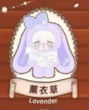 CP1  Yomi winter warm 0301