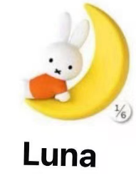 CP2 Miffy magnetic 0307