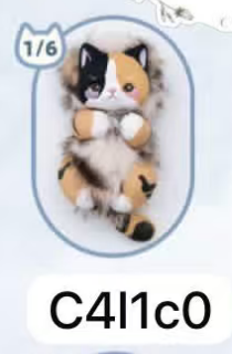 Cp 4 Bobo Cat 0312