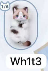 Cp 4 Bobo Cat 0312