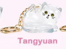 Cp 4 Cat, Your Pet Hair Collector 0318