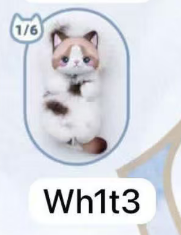 Cp 5 Bobo Cat 0315